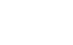 AMIB